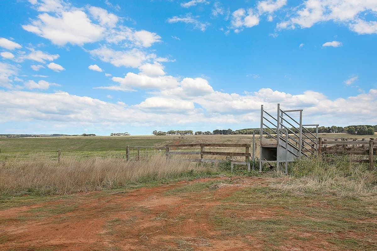 1645 Coradjil Road, Simpson, VIC, Simpson - Thumbnail 4