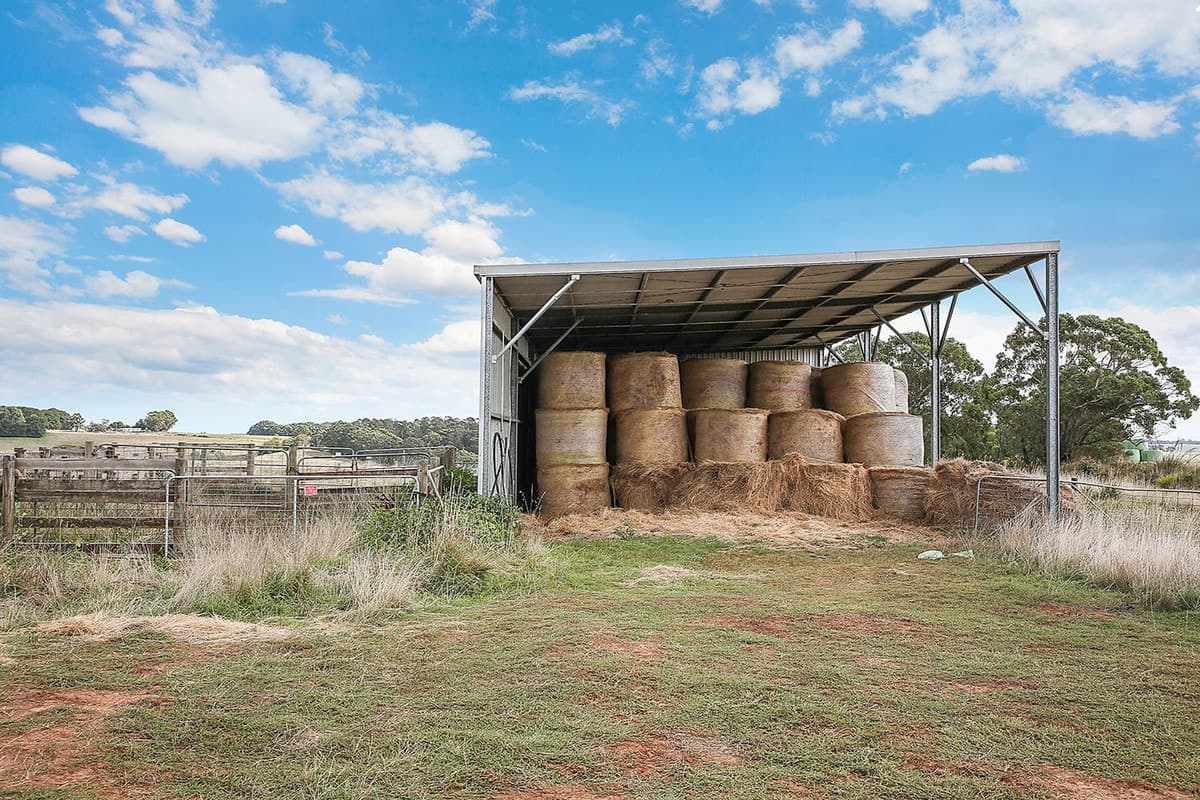 1645 Coradjil Road, Simpson, VIC, Simpson - Thumbnail 5