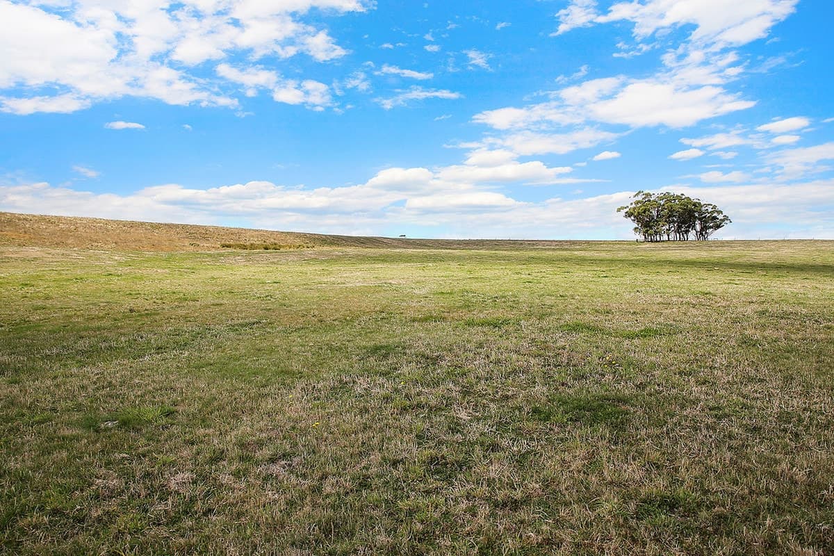 1645 Coradjil Road, Simpson, VIC, Simpson - Thumbnail 6