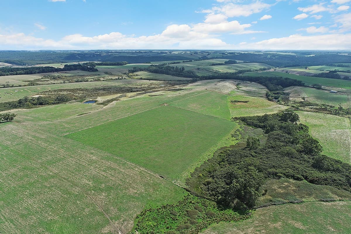 1645 Coradjil Road, Simpson, VIC, Simpson - Thumbnail 7