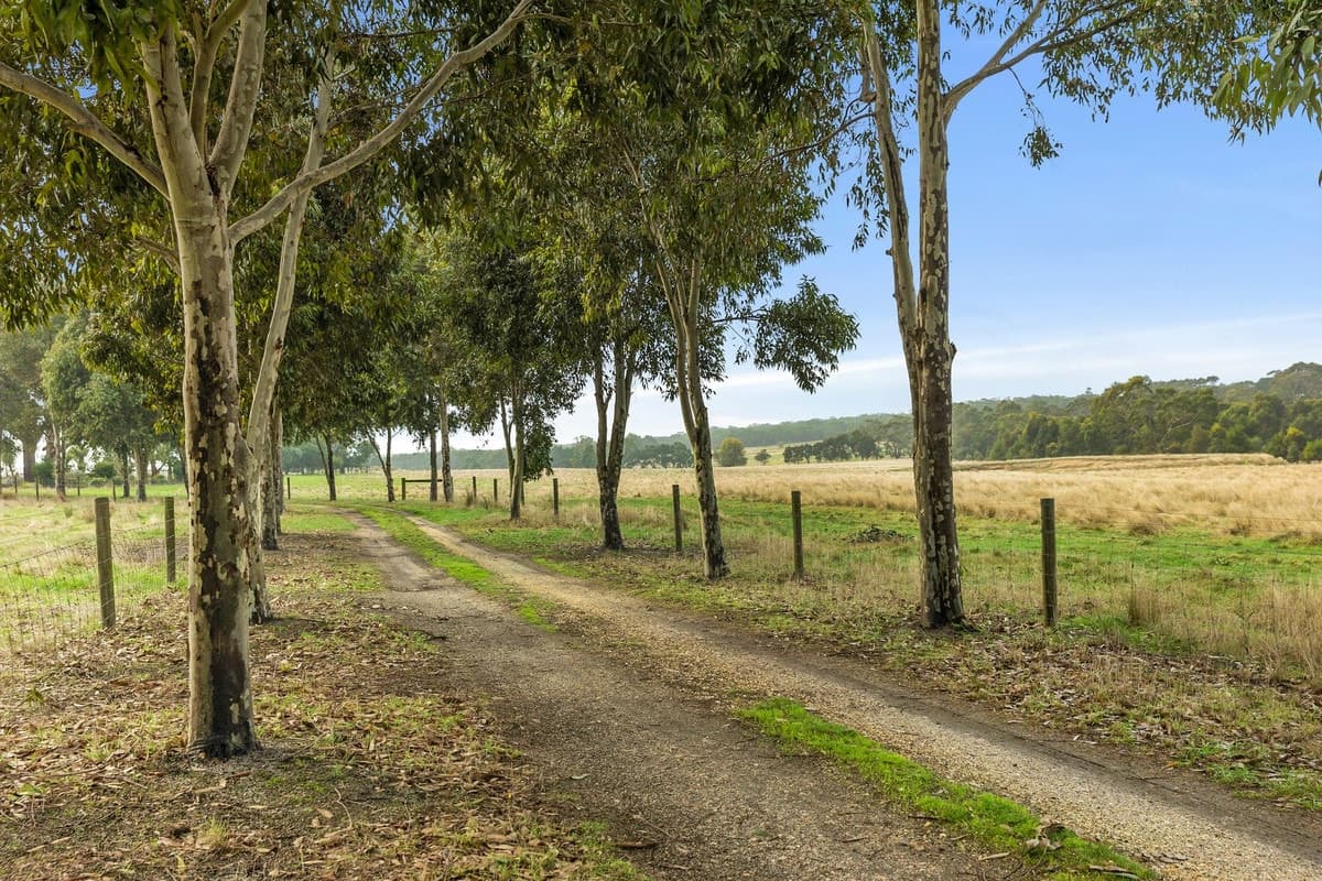 97 Karamarra Road, Gherang, VIC, Gherang - Thumbnail 3