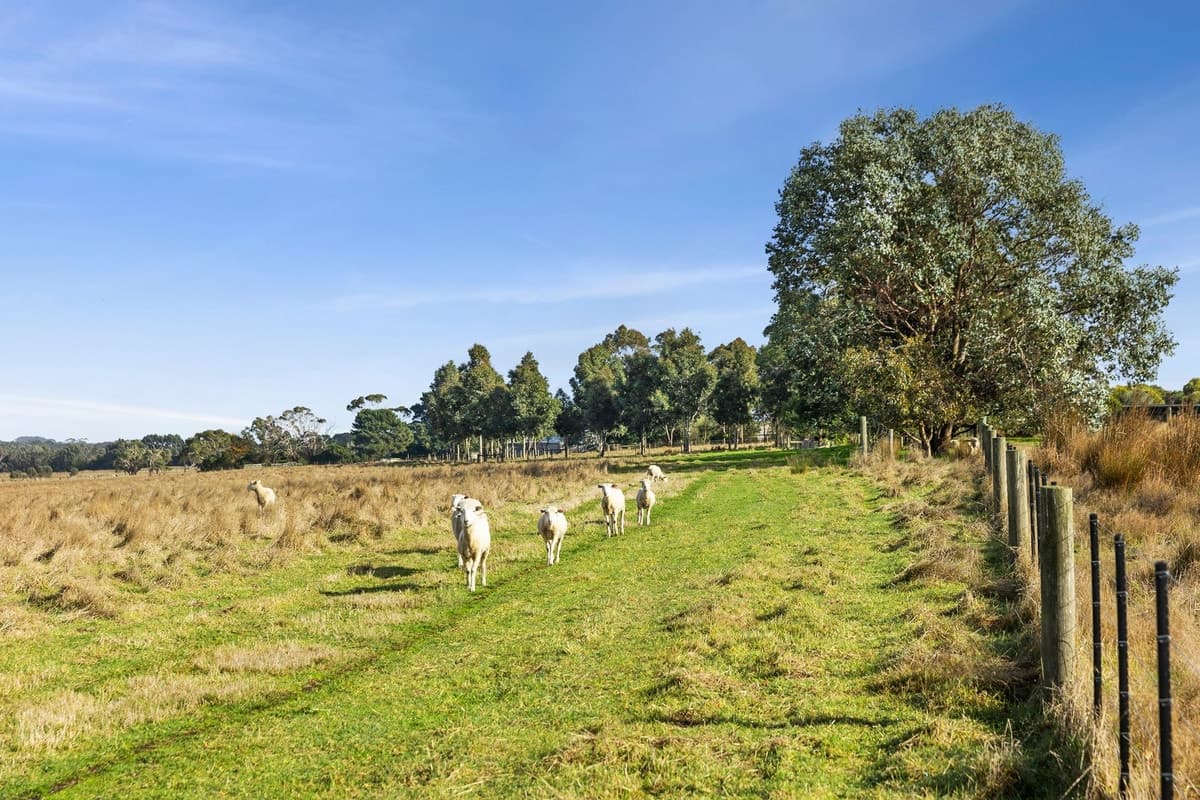 97 Karamarra Road, Gherang, VIC, Gherang - Thumbnail 7