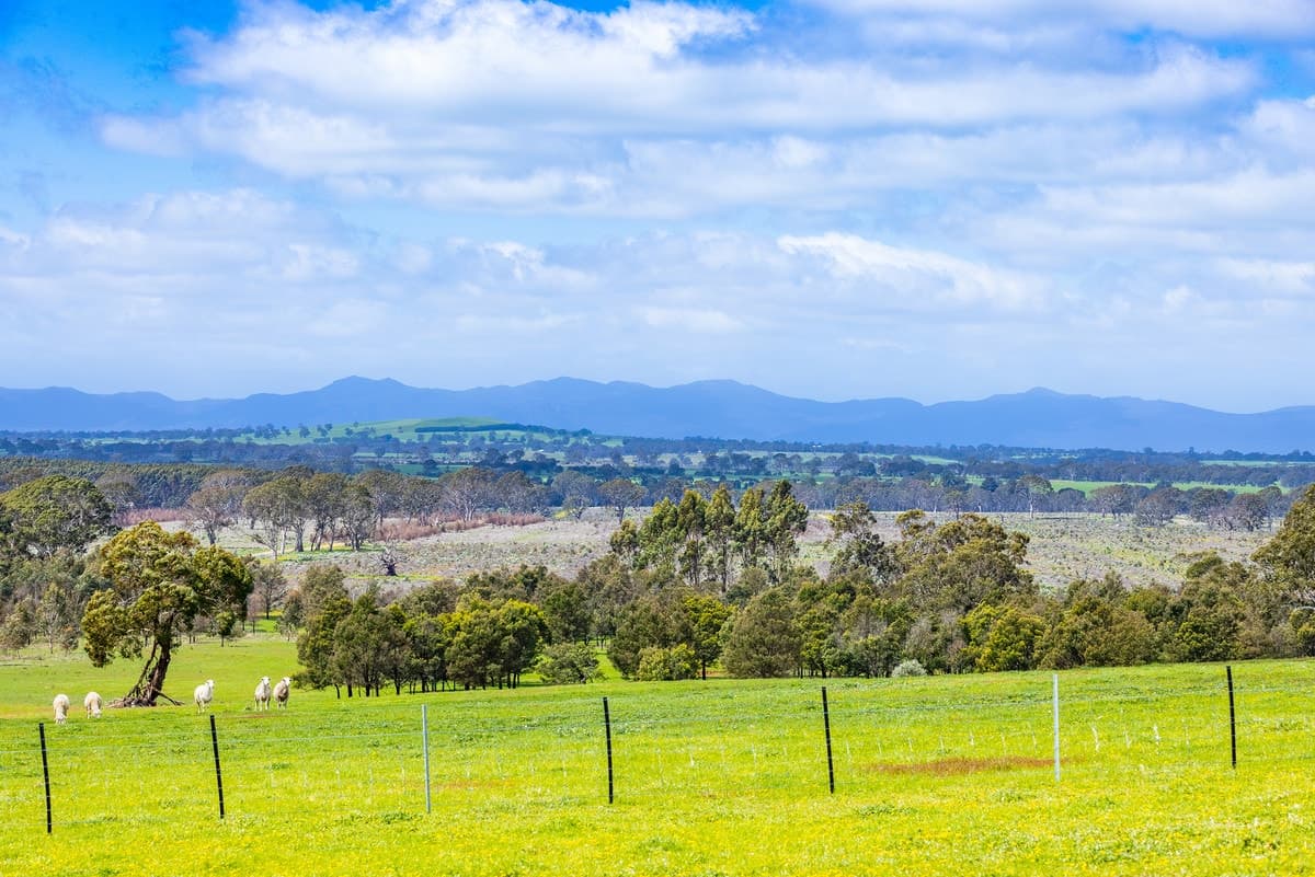 267 Dundas Gap Road, Cavendish, VIC, Cavendish - Thumbnail 7
