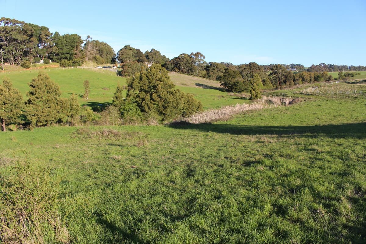 Woodrowvale Road, Elliminyt, VIC, Elliminyt - Thumbnail 3