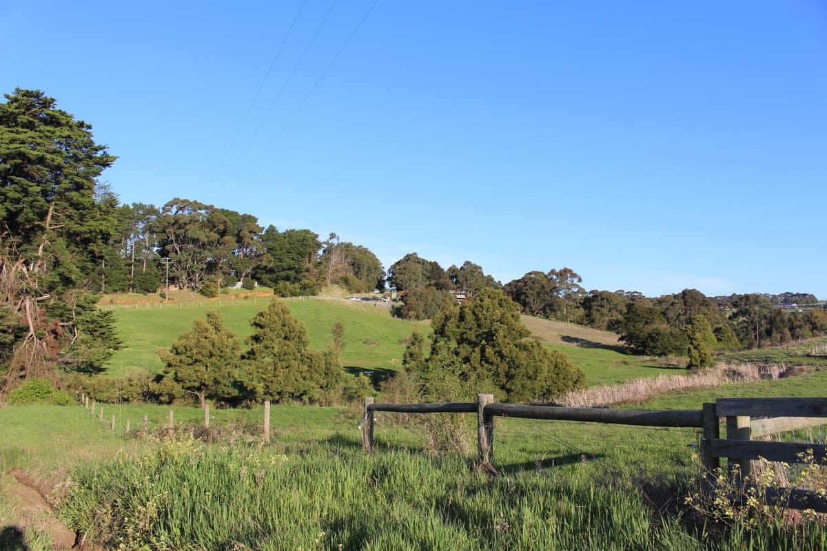Woodrowvale Road, Elliminyt, VIC, Elliminyt - Thumbnail 5