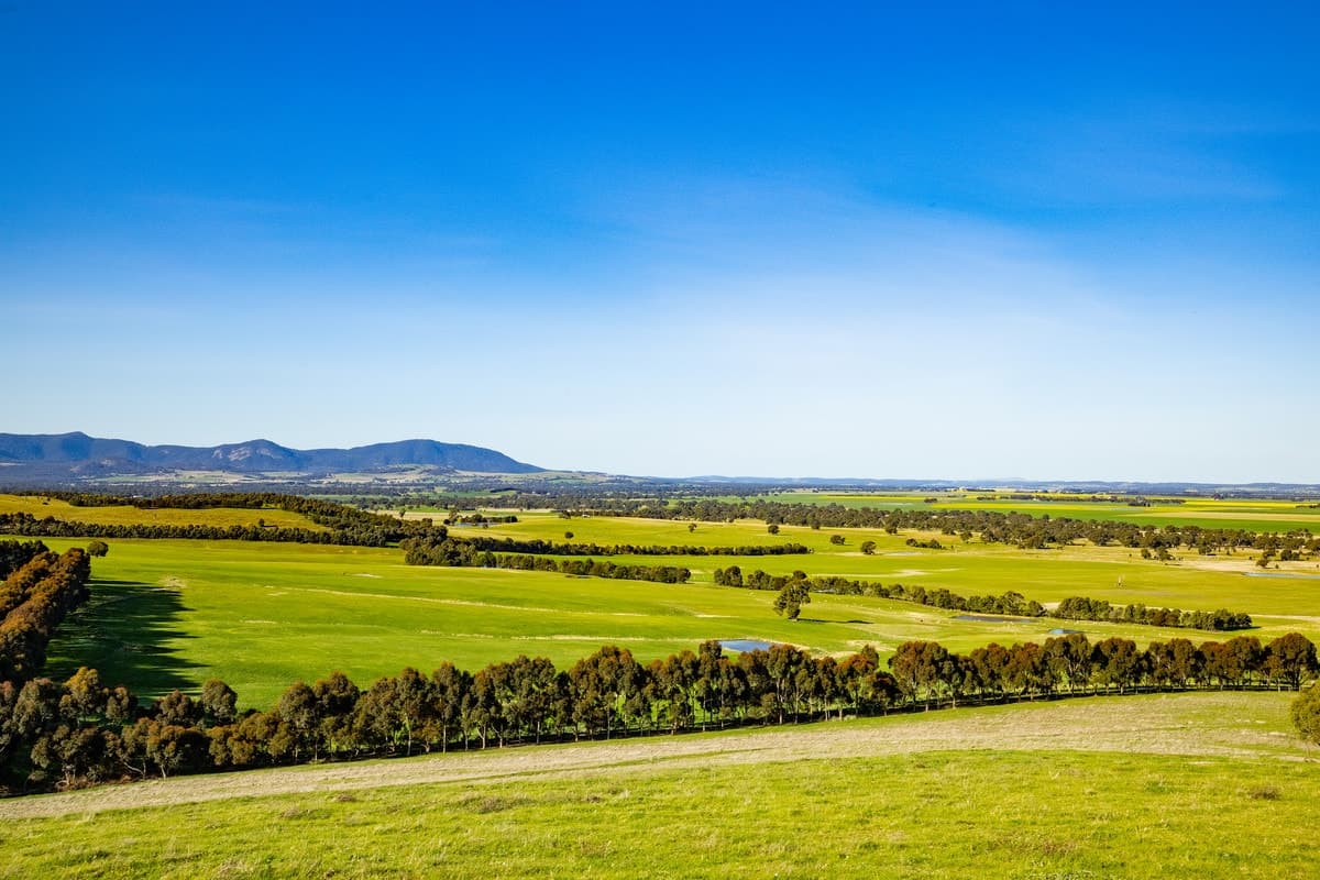 866 Challicum Road, Buangor, VIC, Buangor - Thumbnail 4