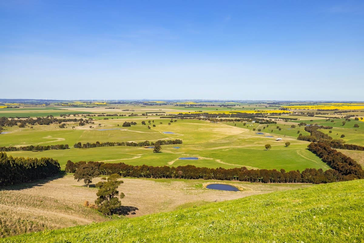 866 Challicum Road, Buangor, VIC, Buangor - Thumbnail 5
