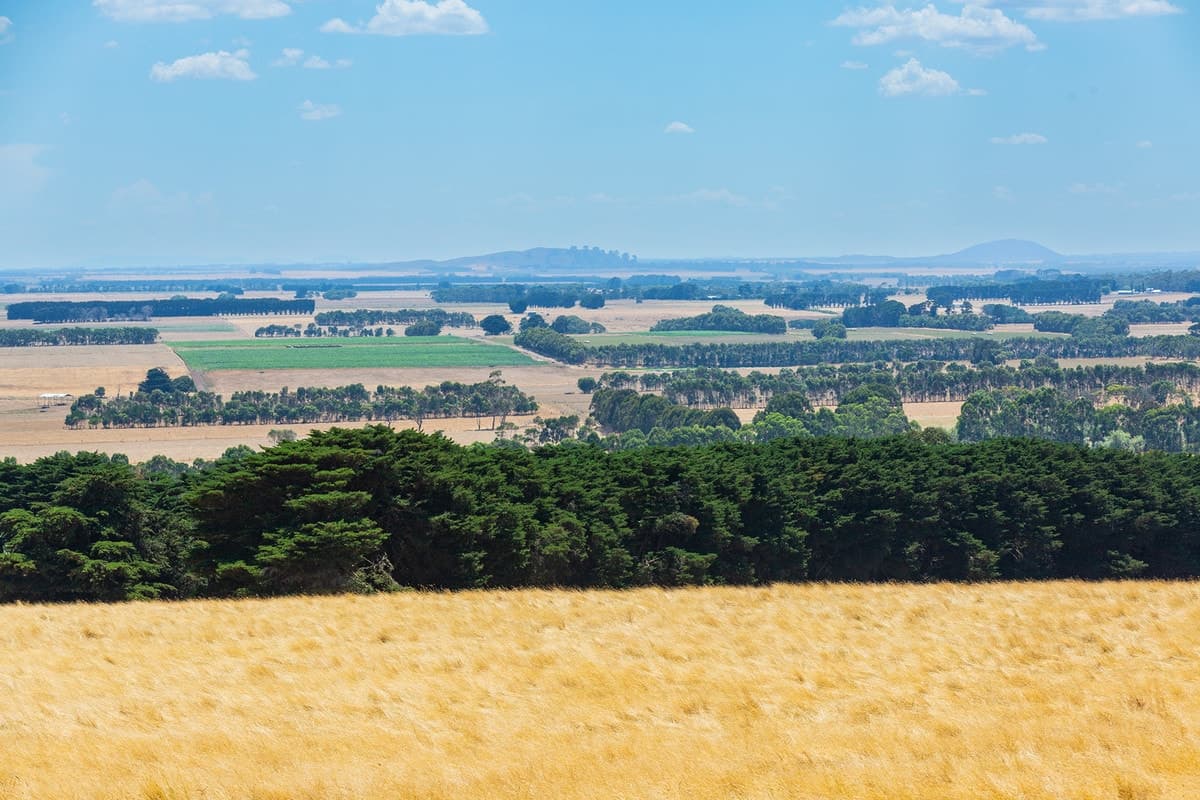 2/230 Vaggs Road, Naroghid, VIC, Naroghid - Thumbnail 3