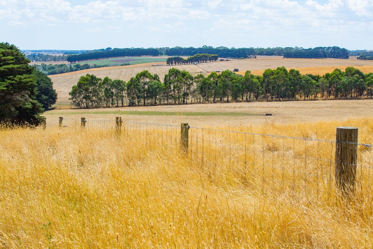 2/230 Vaggs Road, Naroghid, VIC, Naroghid - Thumbnail 4