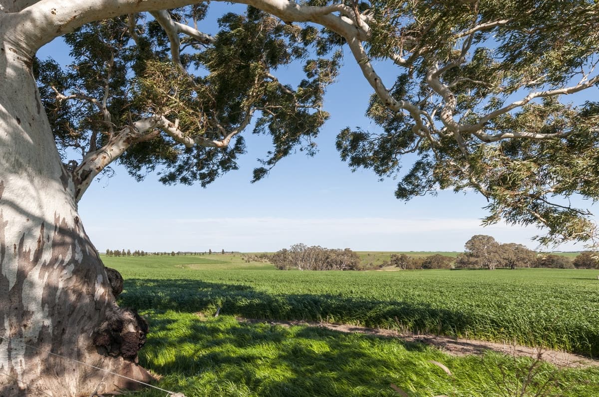 779 Coopers Road, Meredith, VIC, Meredith - Thumbnail 2