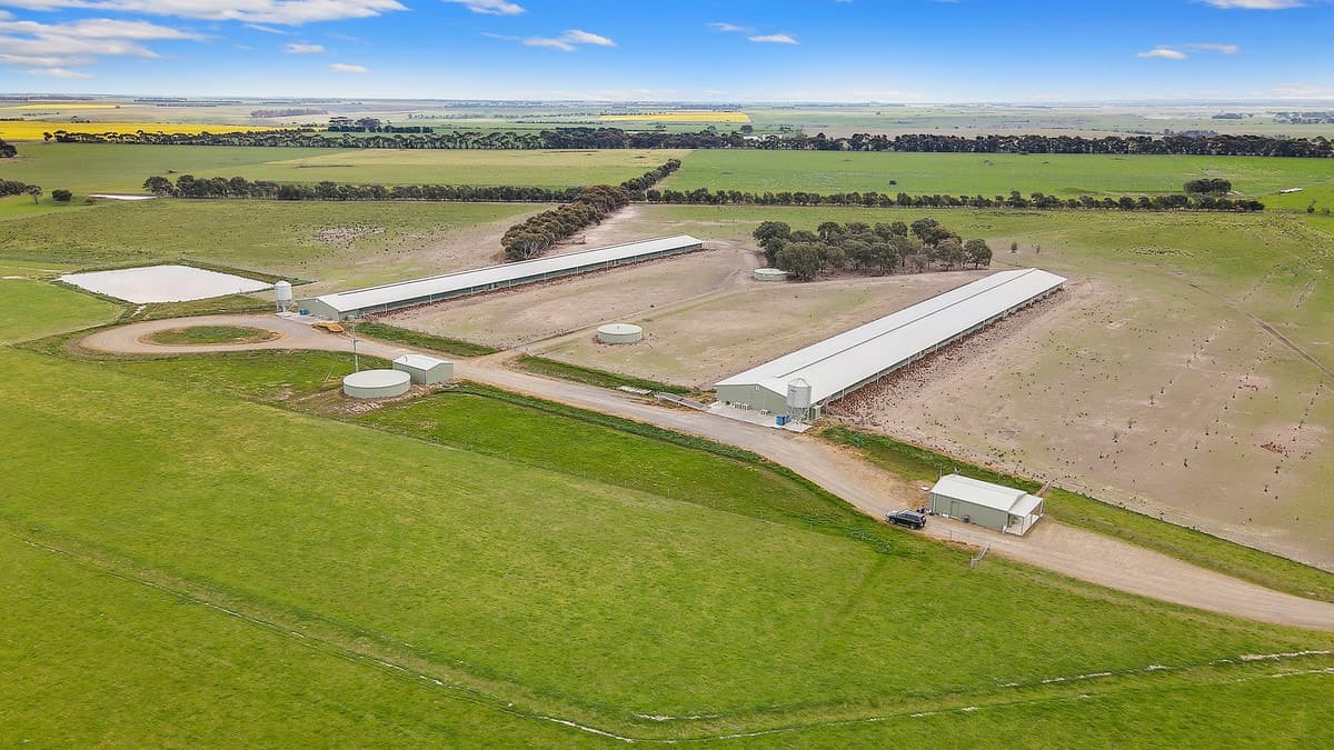 890 Meredith Shelford Road, Bamganie, VIC, Bamganie - Thumbnail 2
