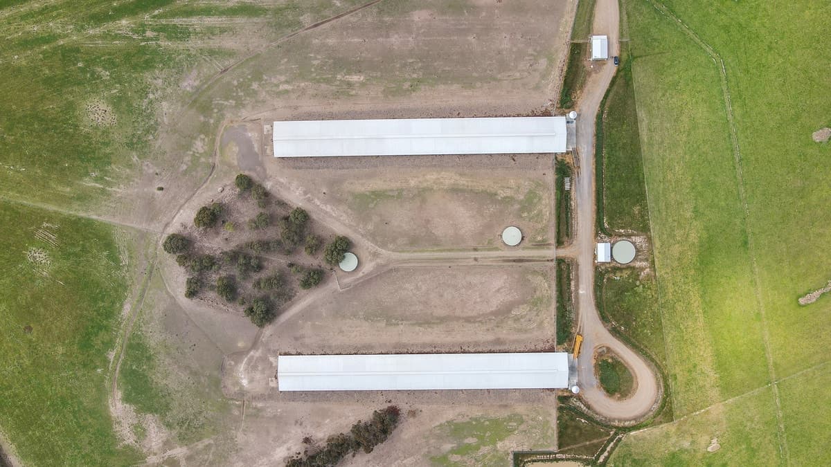 890 Meredith Shelford Road, Bamganie, VIC, Bamganie - Thumbnail 7