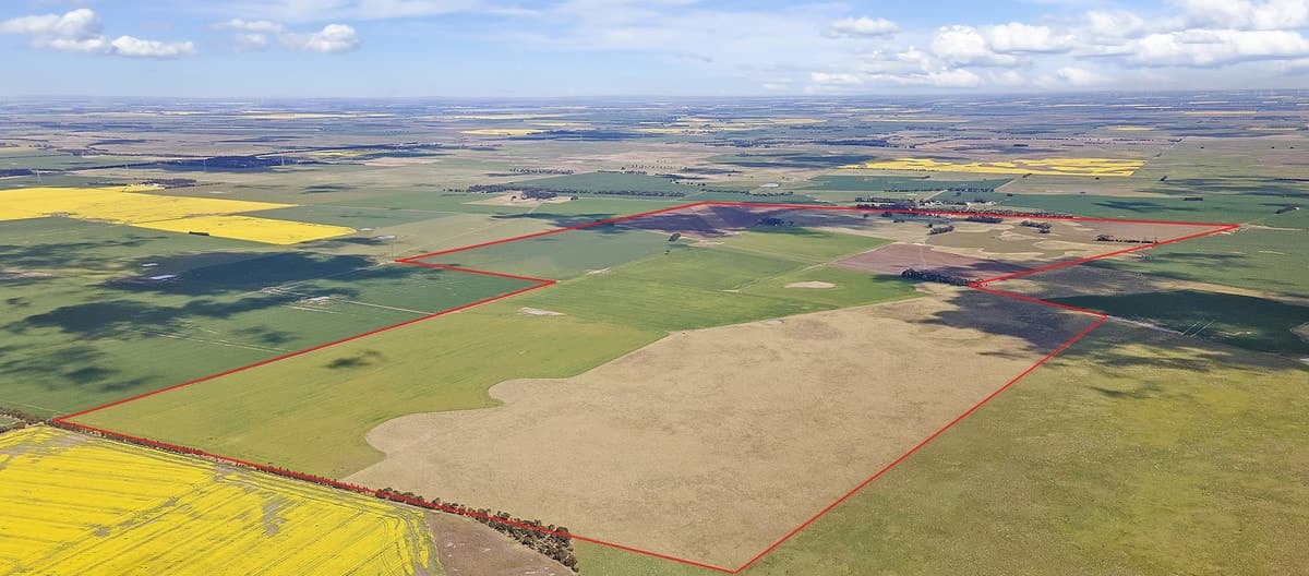 2270 Wingeel Road, Shelford, VIC, Shelford - Thumbnail 2