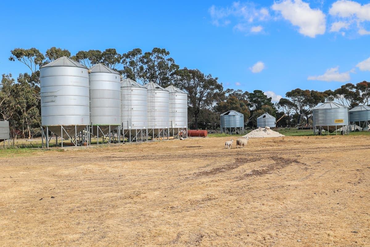 2270 Wingeel Road, Shelford, VIC, Shelford - Thumbnail 8