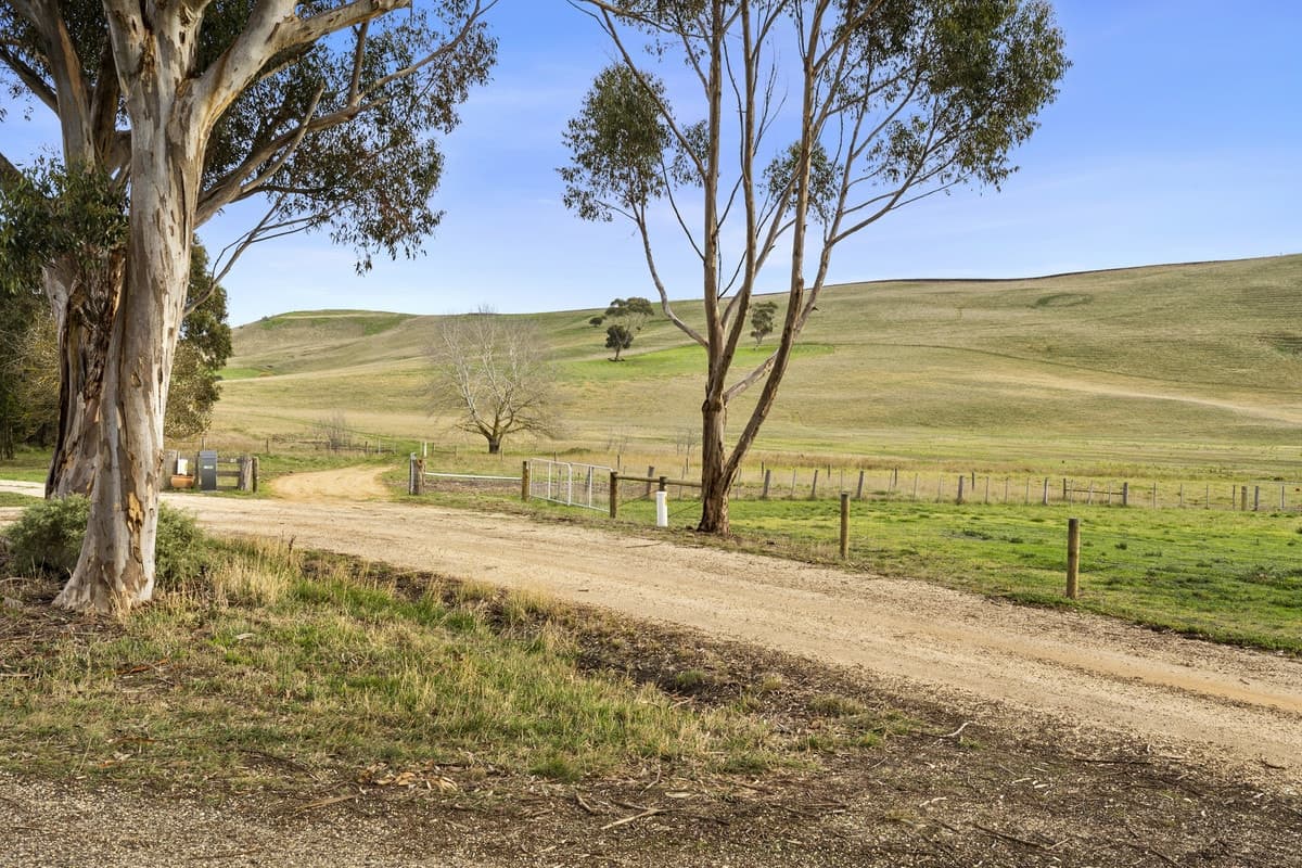 90 Walter Road, Barrabool, VIC, Barrabool - Thumbnail 4