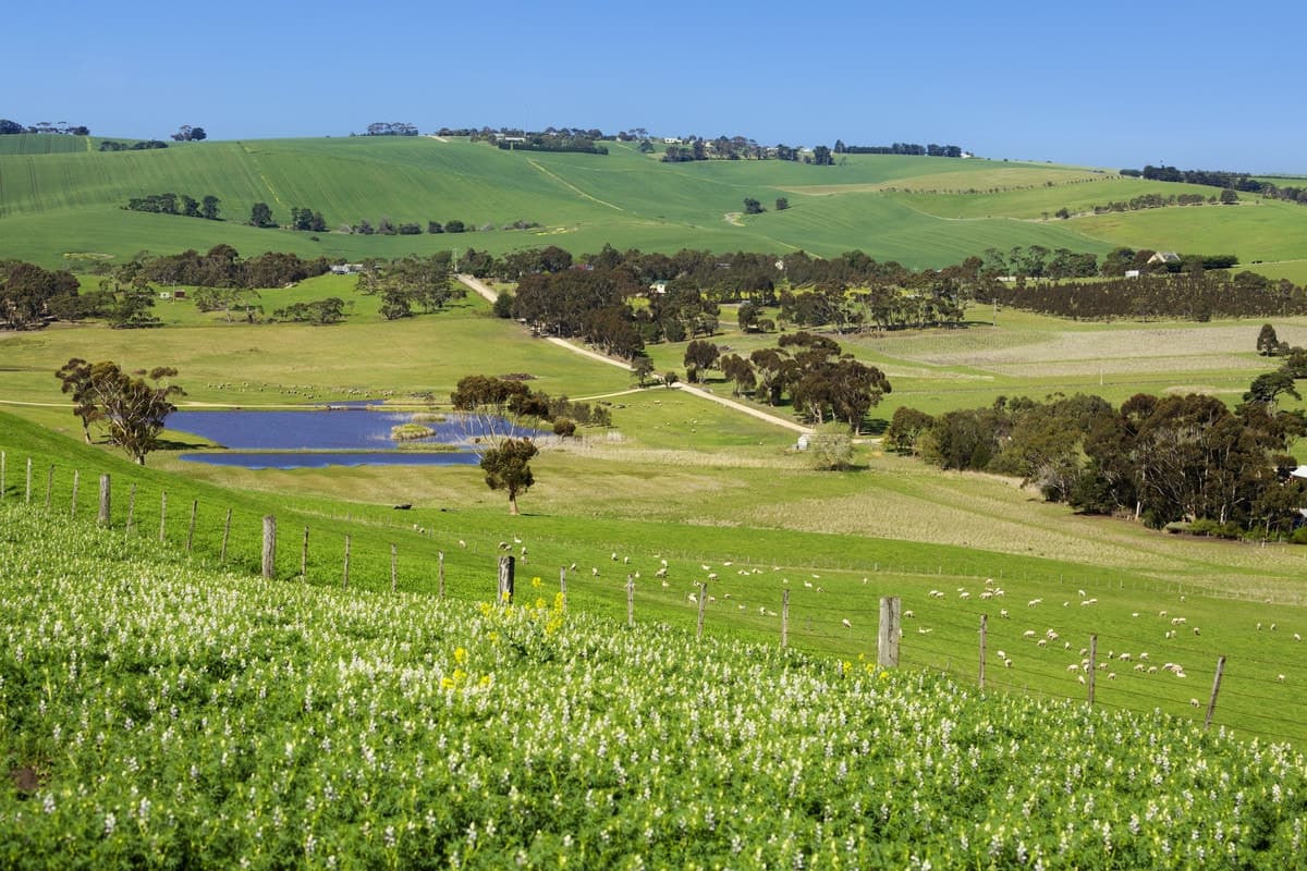90 Walter Road, Barrabool, VIC, Barrabool - Thumbnail 7