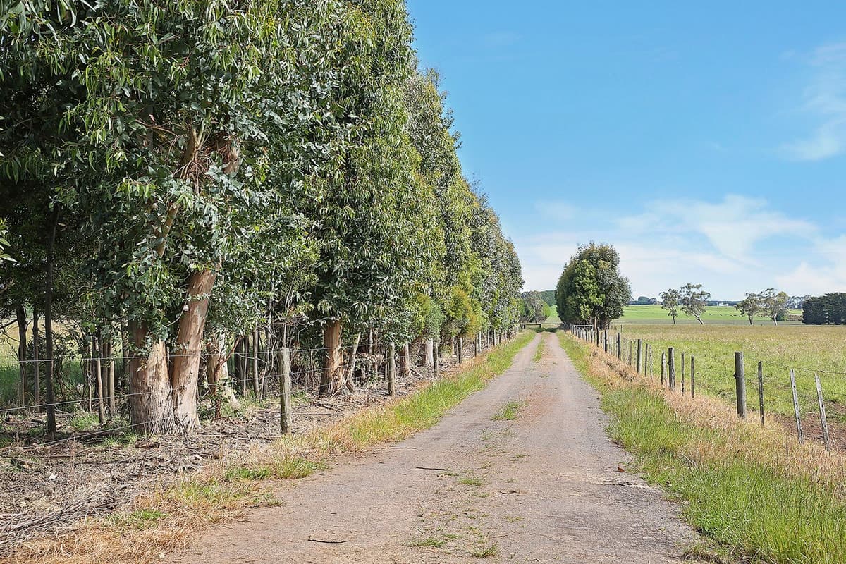 330 Bungador School Road, Bungador, VIC, Bungador - Thumbnail 6