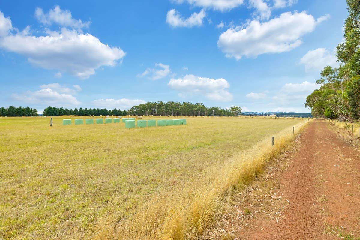 Wooleys Road, Jancourt East, VIC, Jancourt East - Thumbnail 2