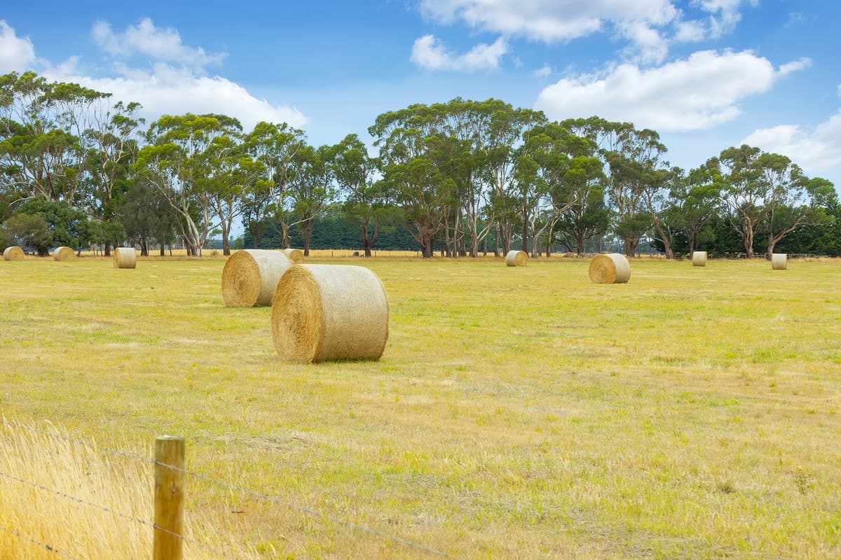 Wooleys Road, Jancourt East, VIC, Jancourt East - Thumbnail 4