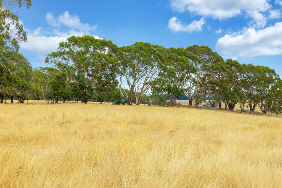 Wooleys Road, Jancourt East, VIC, Jancourt East - Thumbnail 6