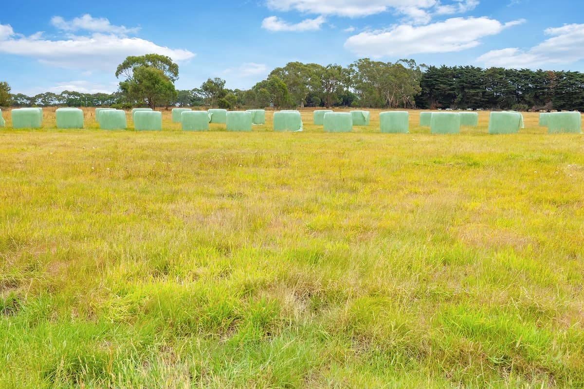 Wooleys Road, Jancourt East, VIC, Jancourt East - Thumbnail 7