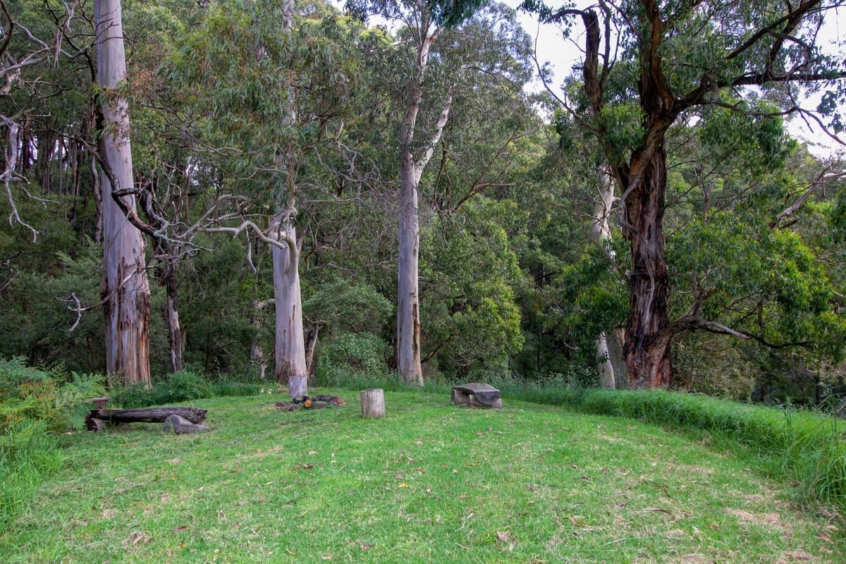 Red Johanna Road, Johanna, VIC, Johanna - Thumbnail 3