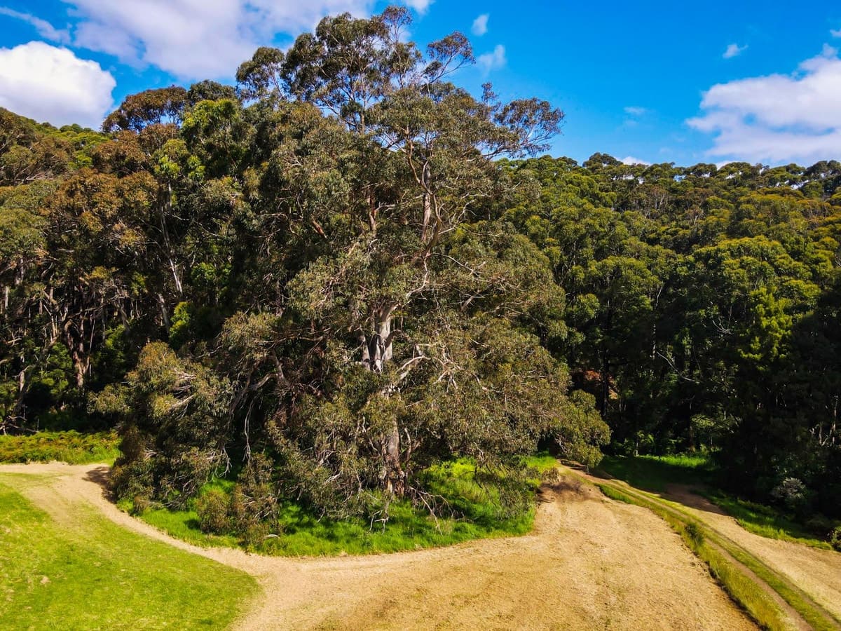 Red Johanna Road, Johanna, VIC, Johanna - Thumbnail 4