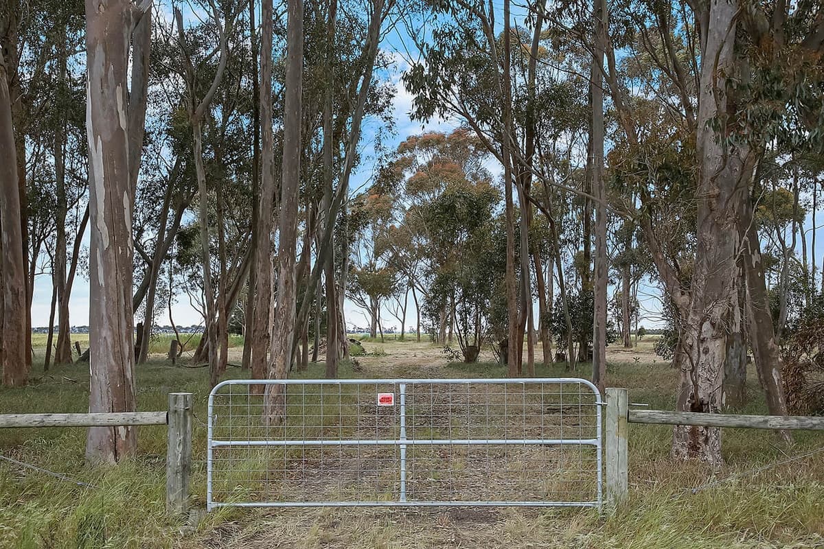 2 Berrybank - Wallinduc Road, Wallinduc, VIC, Wallinduc - Thumbnail 2