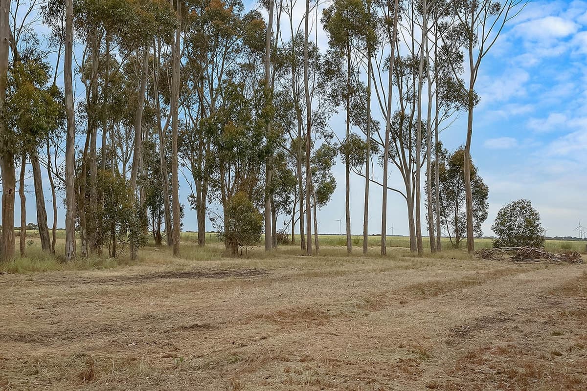 2 Berrybank - Wallinduc Road, Wallinduc, VIC, Wallinduc - Thumbnail 5