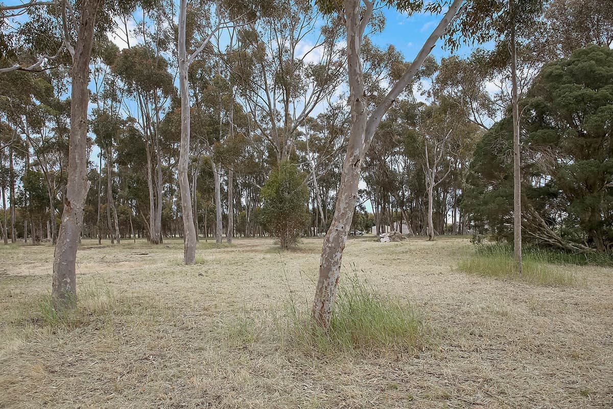 2 Berrybank - Wallinduc Road, Wallinduc, VIC, Wallinduc - Thumbnail 6