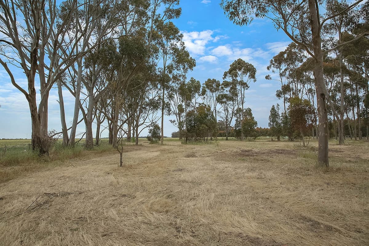 2 Berrybank - Wallinduc Road, Wallinduc, VIC, Wallinduc - Thumbnail 7