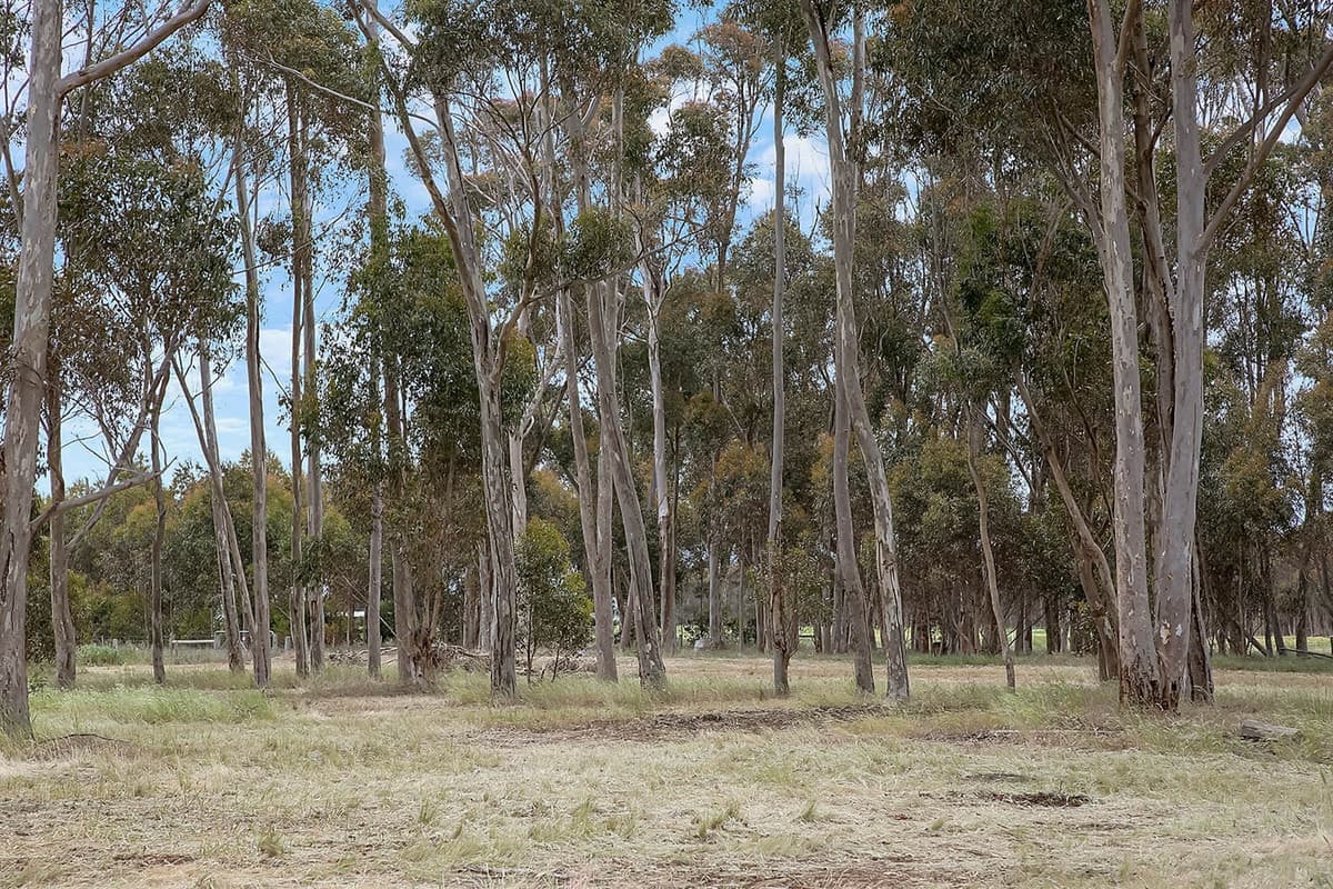 2 Berrybank - Wallinduc Road, Wallinduc, VIC, Wallinduc - Thumbnail 8
