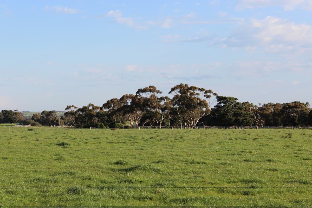 640 Colac-Ballarat Road, Ondit, VIC, Ondit - Thumbnail 8