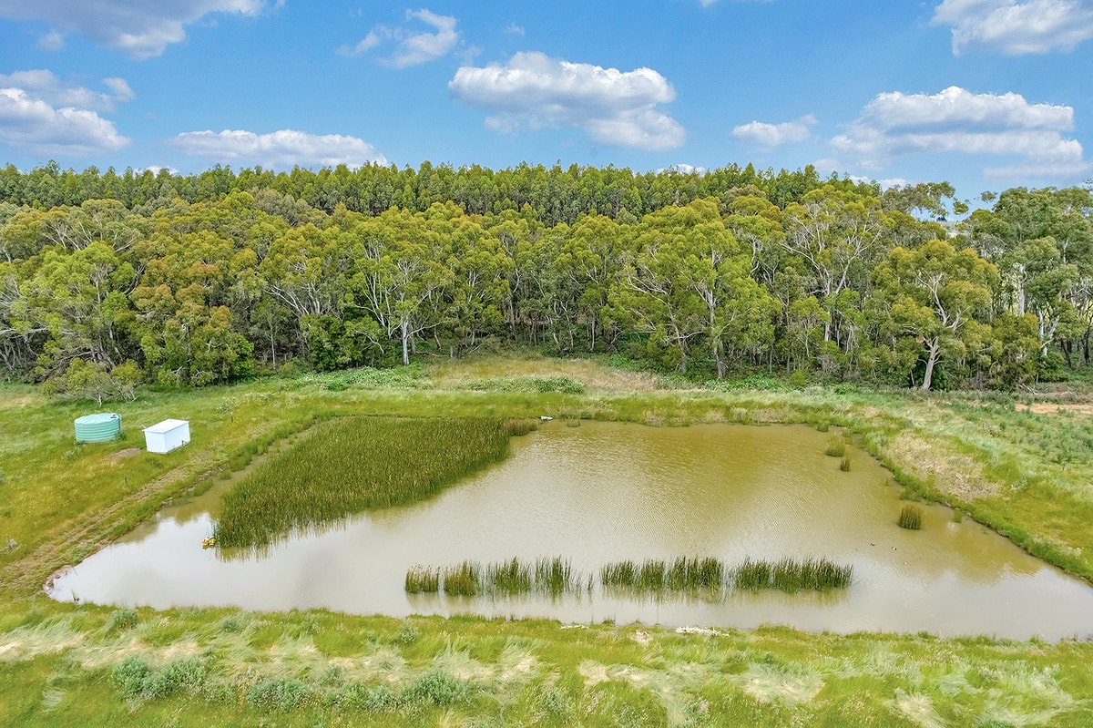 320 Carpendeit-Bungador Road, Carpendeit, VIC, Carpendeit - Thumbnail 5