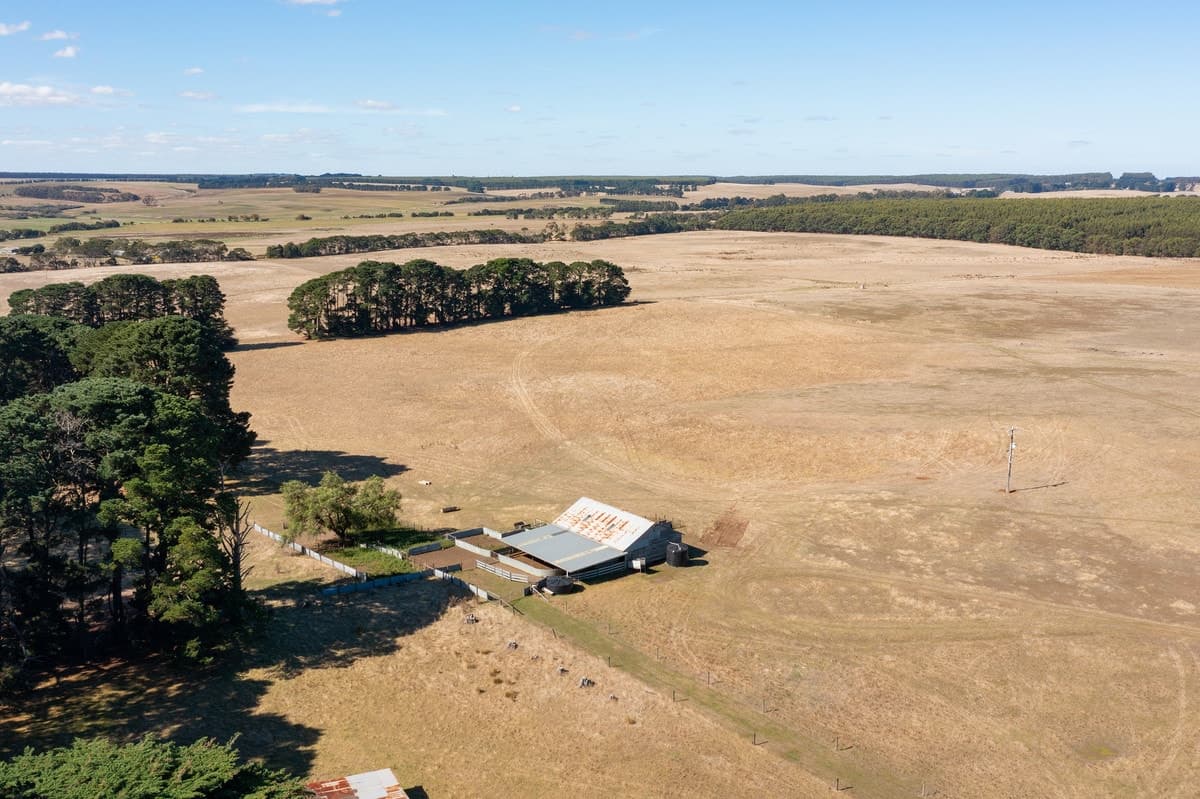 Cnr Hamilton - Port Fairy Road & Donovans Lane, Macarthur, VIC, Macarthur - Thumbnail 4