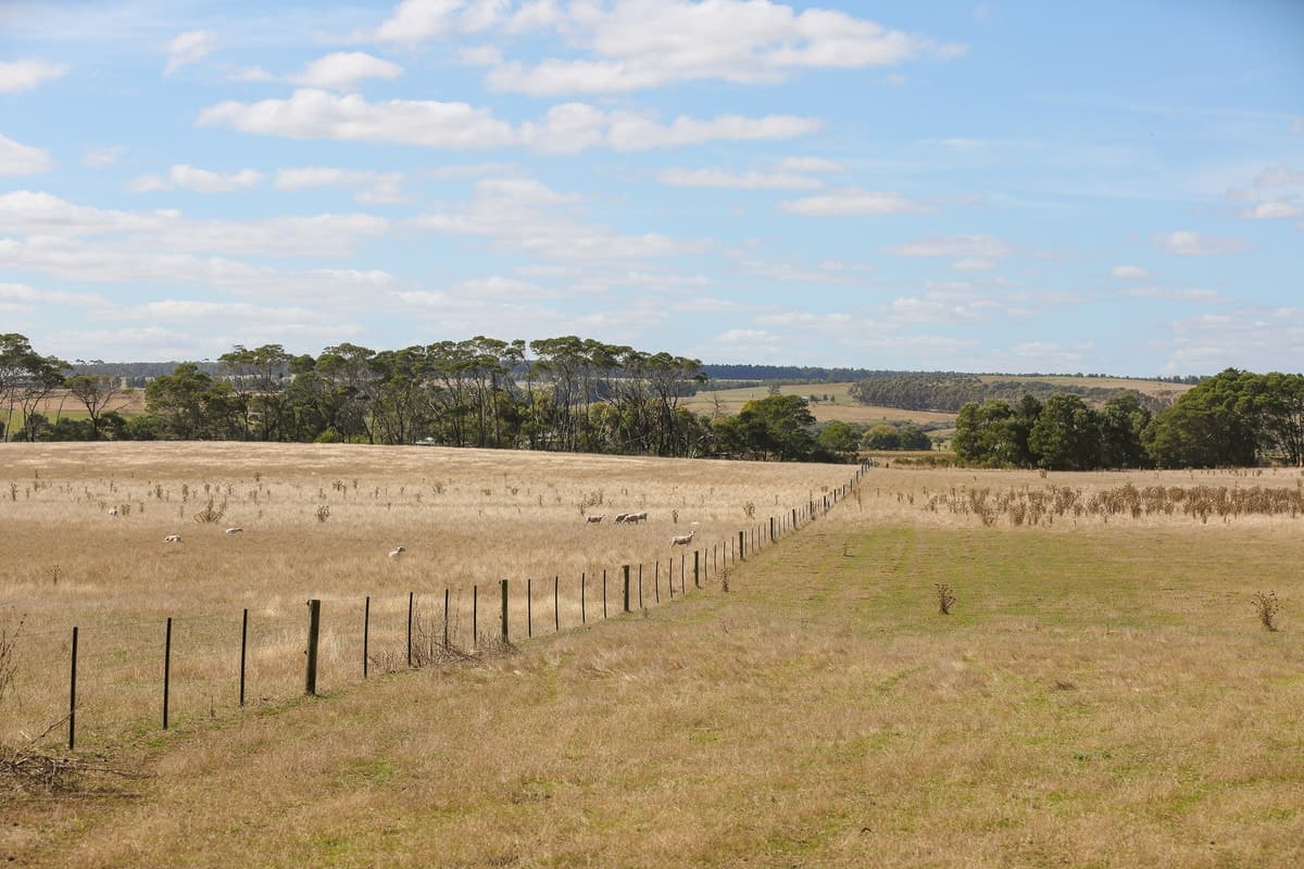 Cnr Hamilton - Port Fairy Road & Donovans Lane, Macarthur, VIC, Macarthur - Thumbnail 5