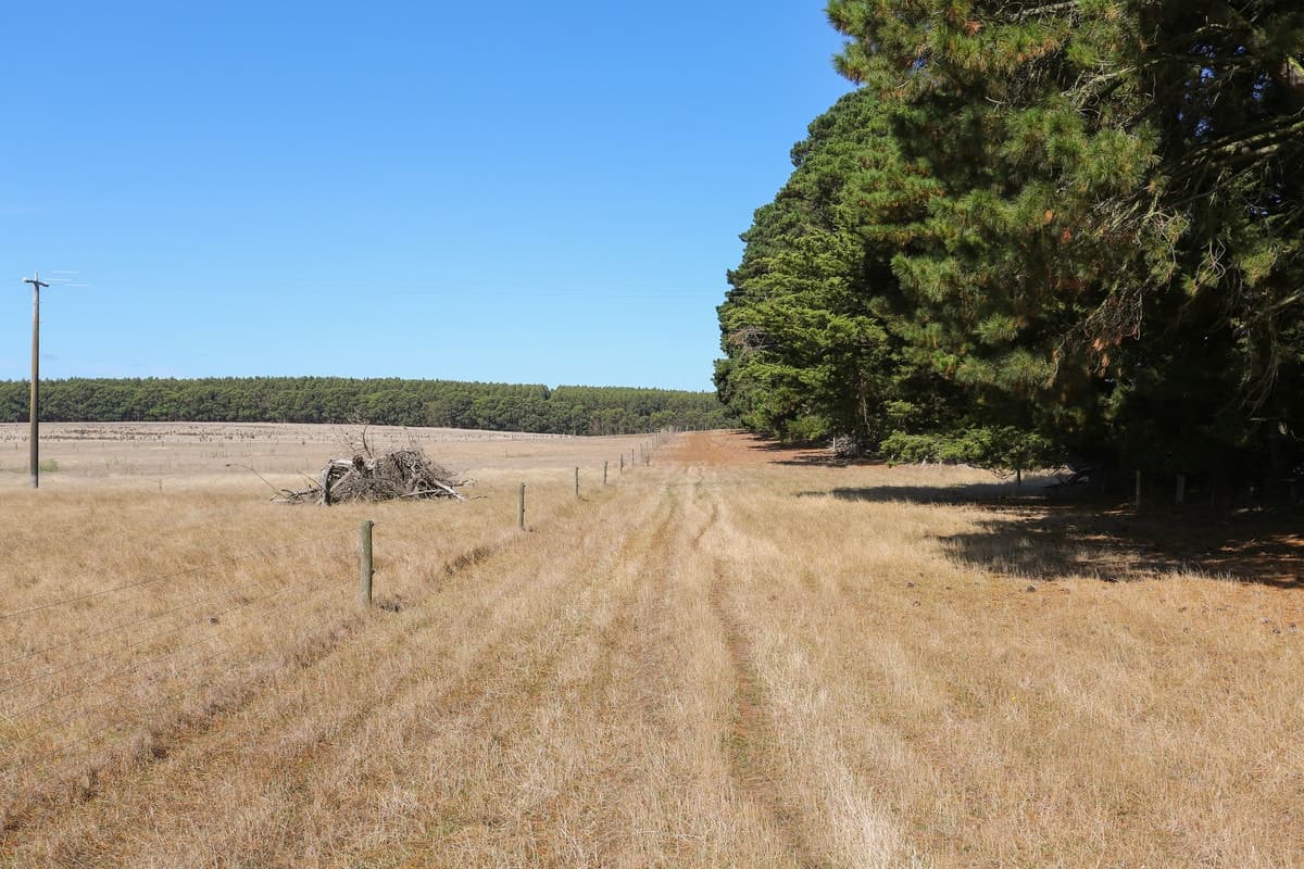 Cnr Hamilton - Port Fairy Road & Donovans Lane, Macarthur, VIC, Macarthur - Thumbnail 6
