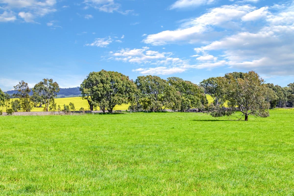 Coach Road, Buangor, VIC, Buangor - Thumbnail 3
