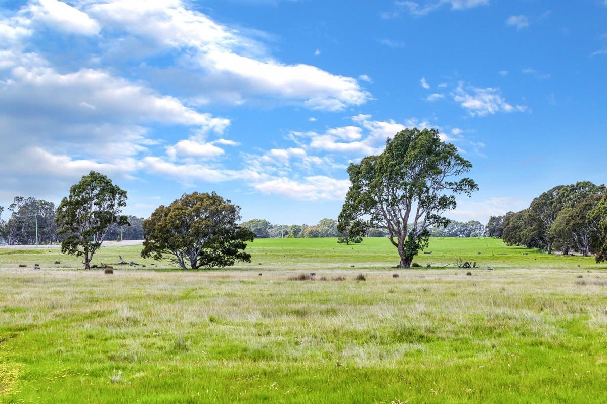 Coach Road, Buangor, VIC, Buangor - Thumbnail 4