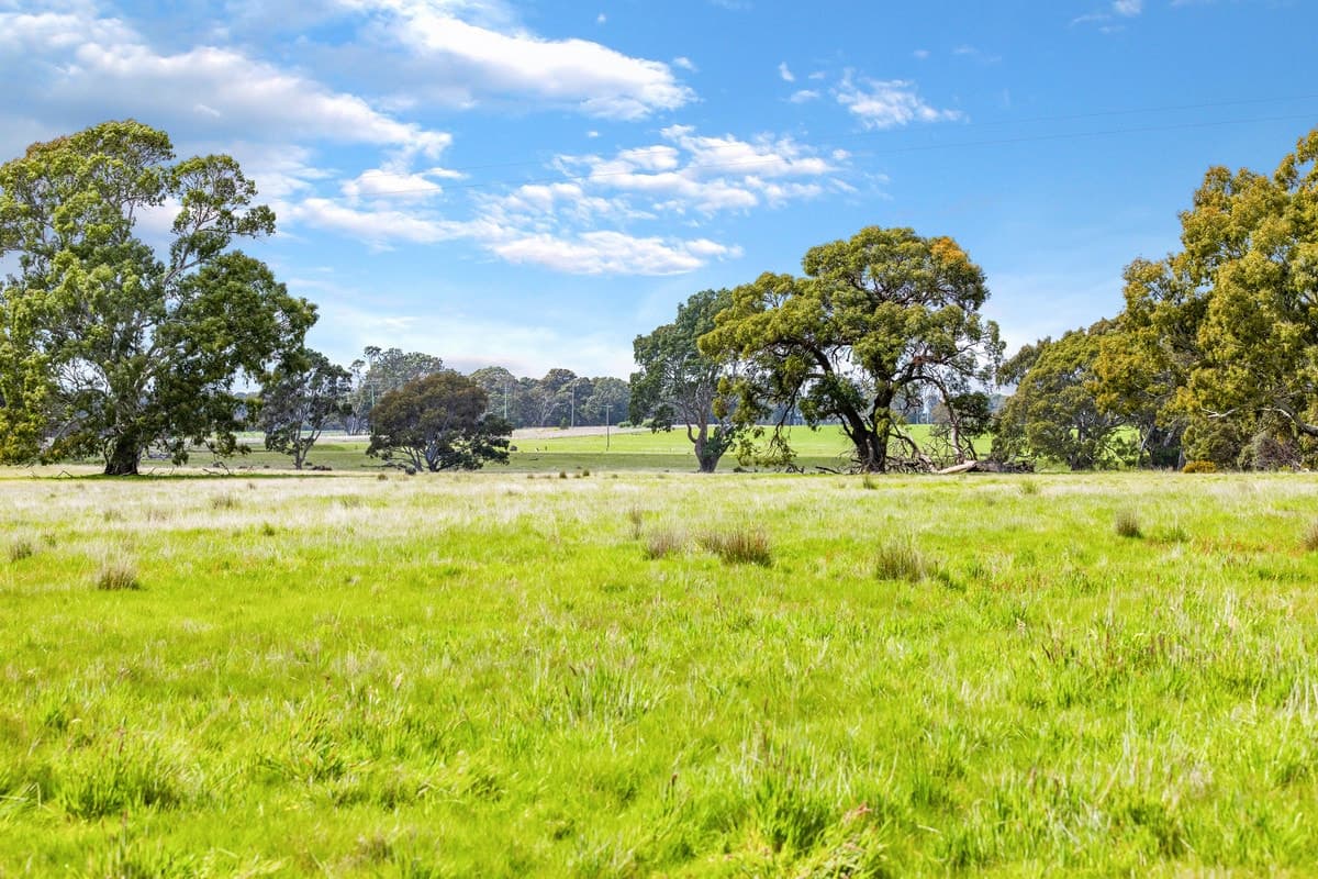 Coach Road, Buangor, VIC, Buangor - Thumbnail 6