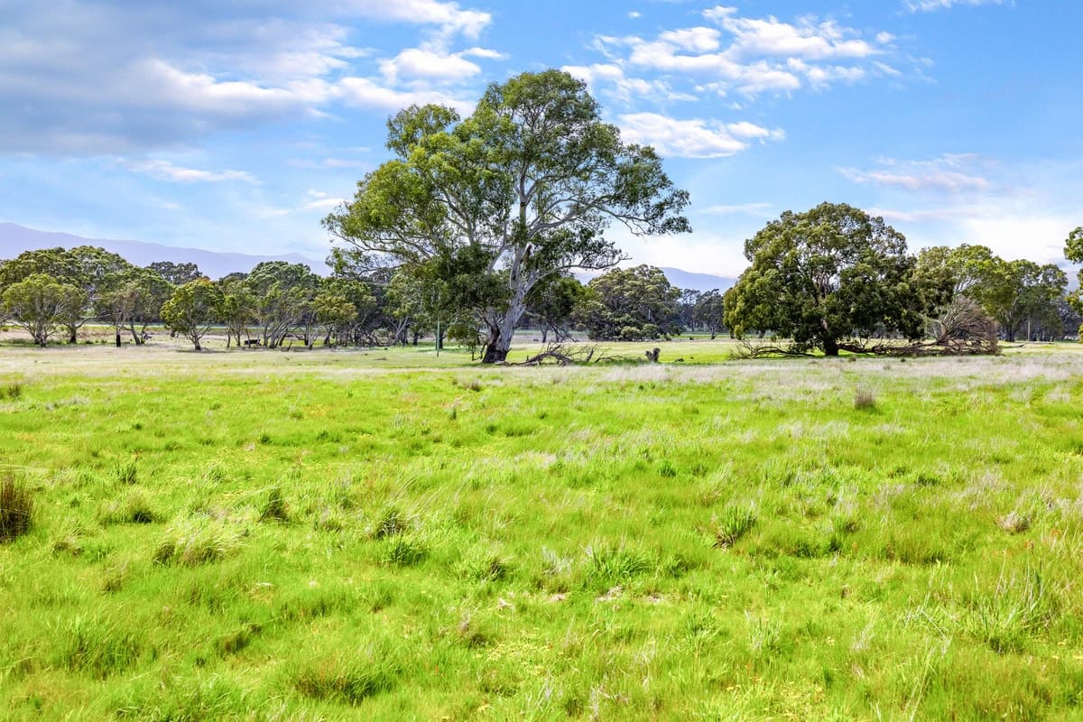 Coach Road, Buangor, VIC, Buangor - Thumbnail 7