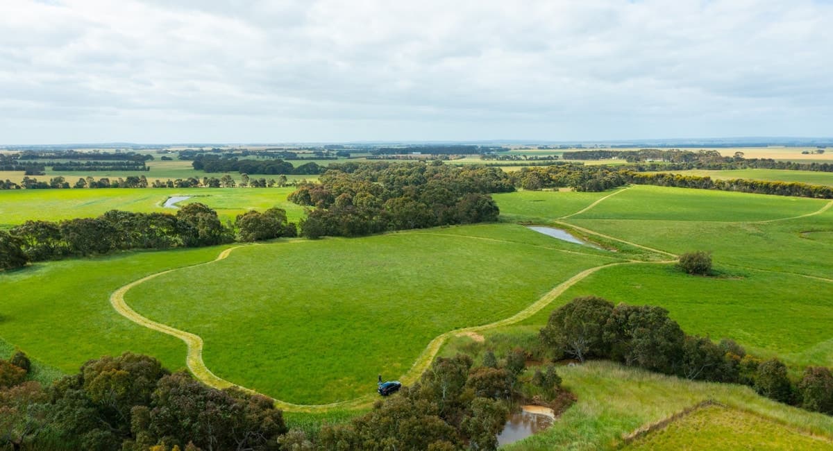 1700 Pitfield-Cressy Road, Werneth, VIC, Werneth - Thumbnail 2