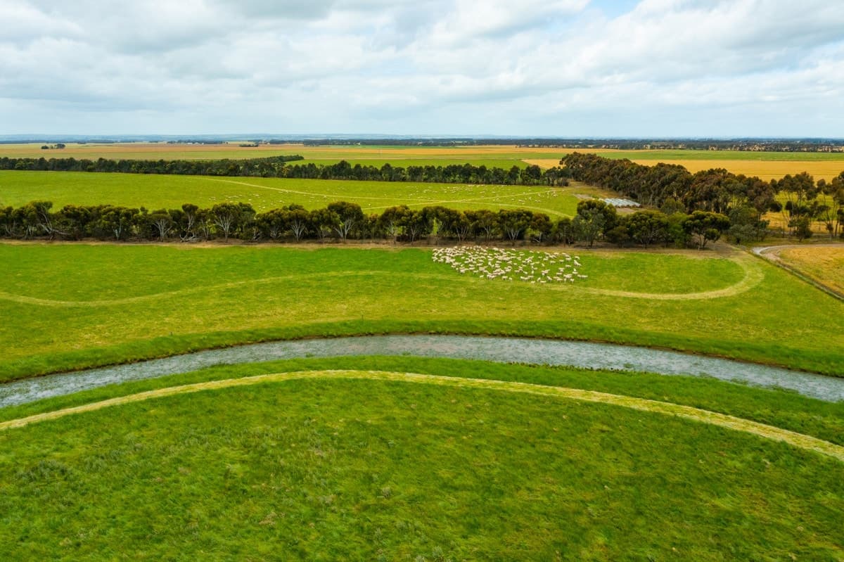1700 Pitfield-Cressy Road, Werneth, VIC, Werneth - Thumbnail 3