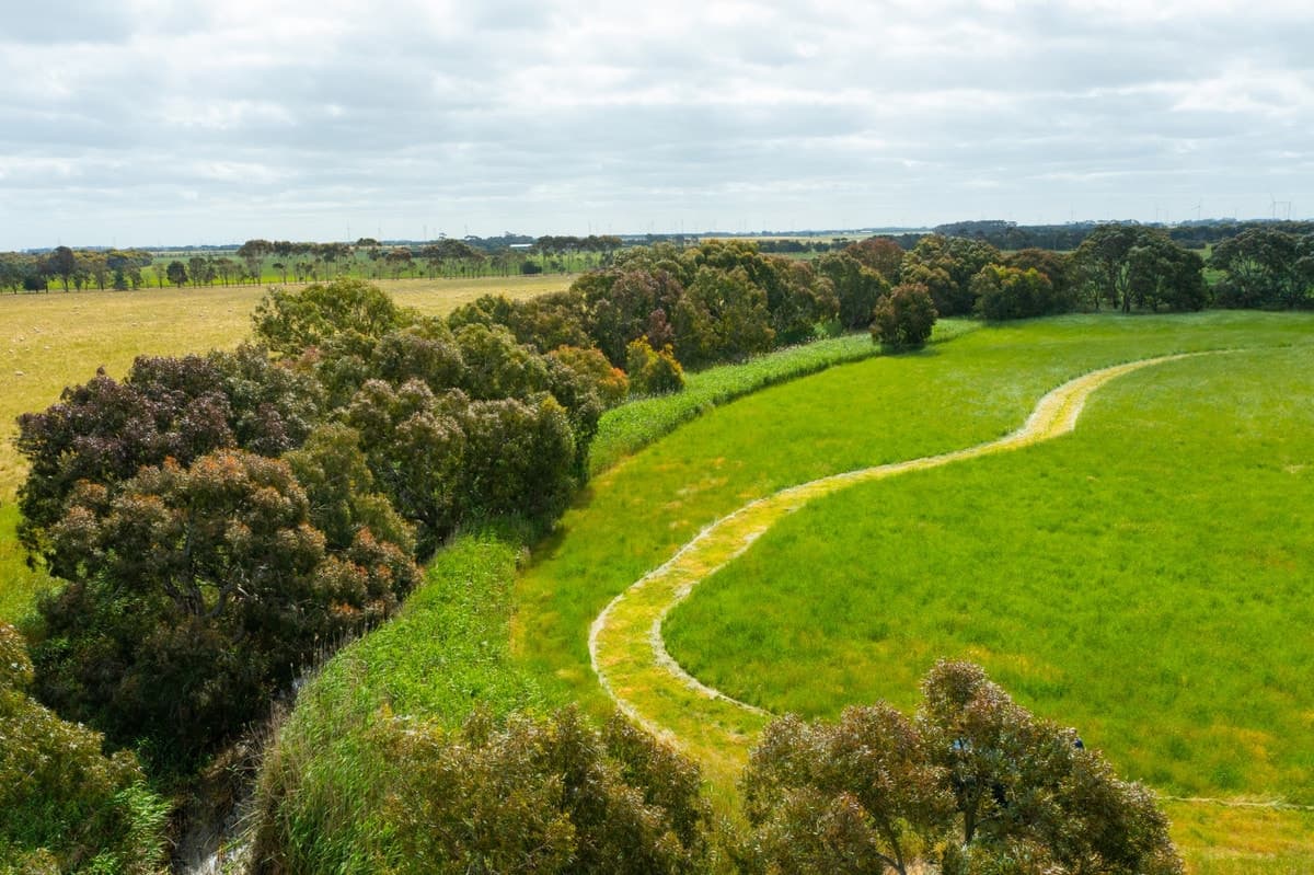 1700 Pitfield-Cressy Road, Werneth, VIC, Werneth - Thumbnail 6