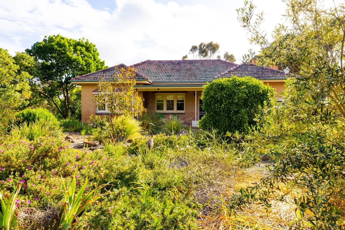1700 Pitfield-Cressy Road, Werneth, VIC, Werneth - Thumbnail 7