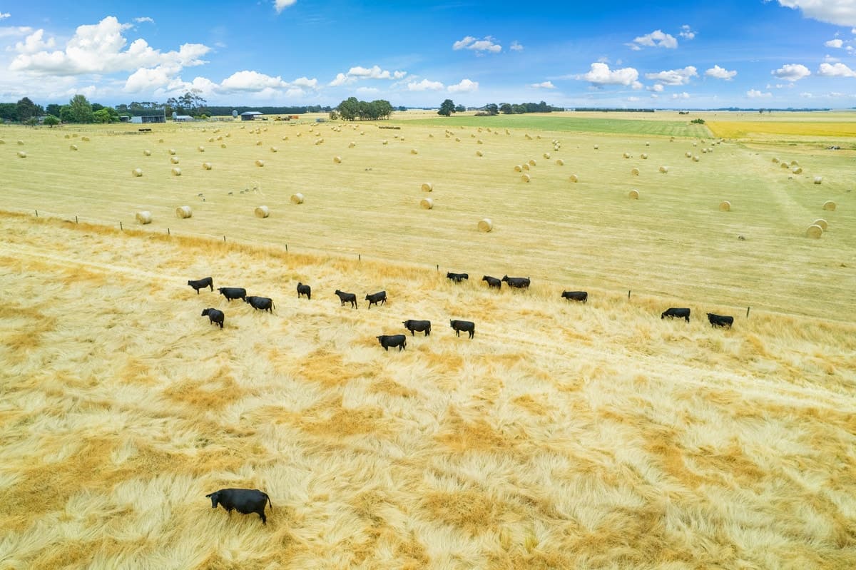 160 Bourkes Road, Warncoort, VIC, Warncoort - Thumbnail 2