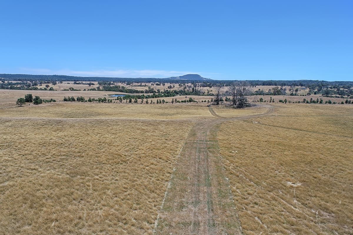 Horse Hill Road, Elaine, VIC, Elaine - Thumbnail 5