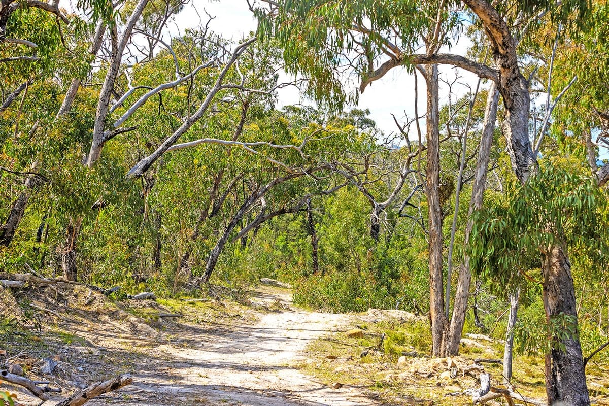 4/177 Jensens Road, Mirranatwa, VIC, Mirranatwa - Thumbnail 4