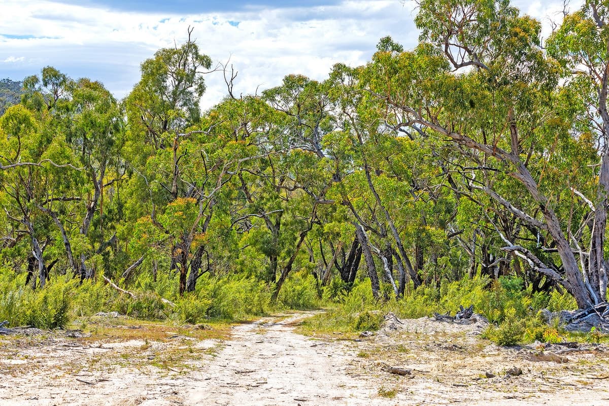 4/177 Jensens Road, Mirranatwa, VIC, Mirranatwa - Thumbnail 5