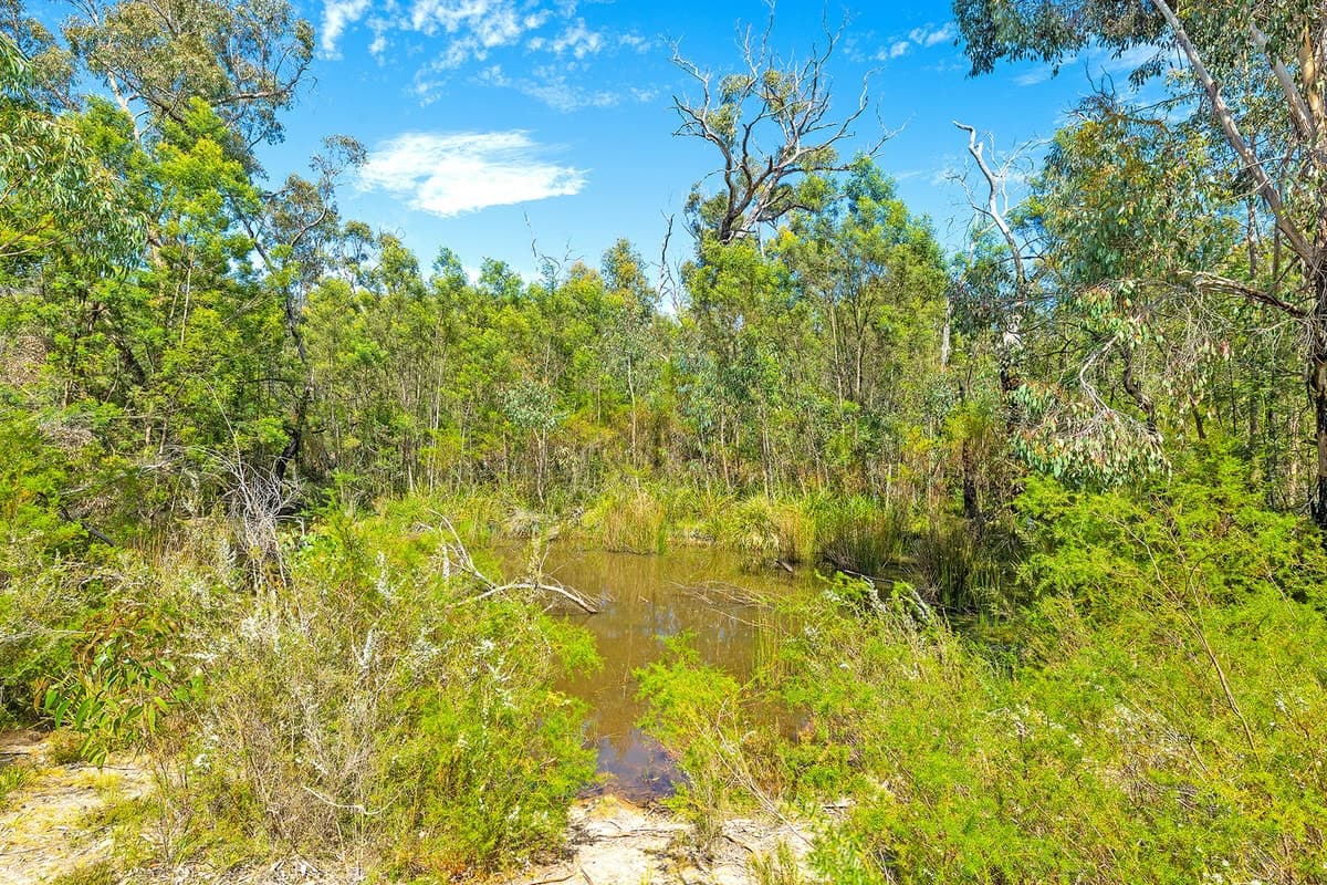 4/177 Jensens Road, Mirranatwa, VIC, Mirranatwa - Thumbnail 6
